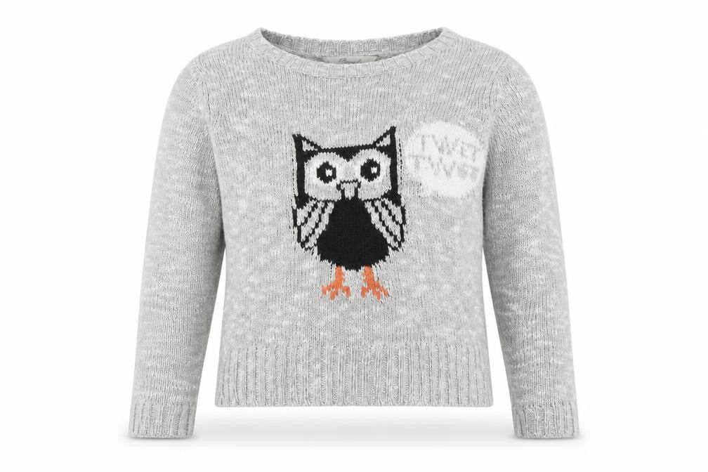 Front view of Peacocks women’s grey jumper, size S, - owl