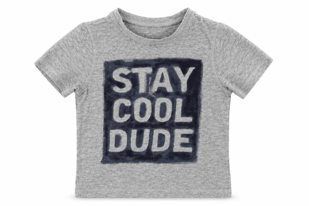 Front view of George boys’ grey jersey basic t-shirt, size 4-5, years - stay cool dude