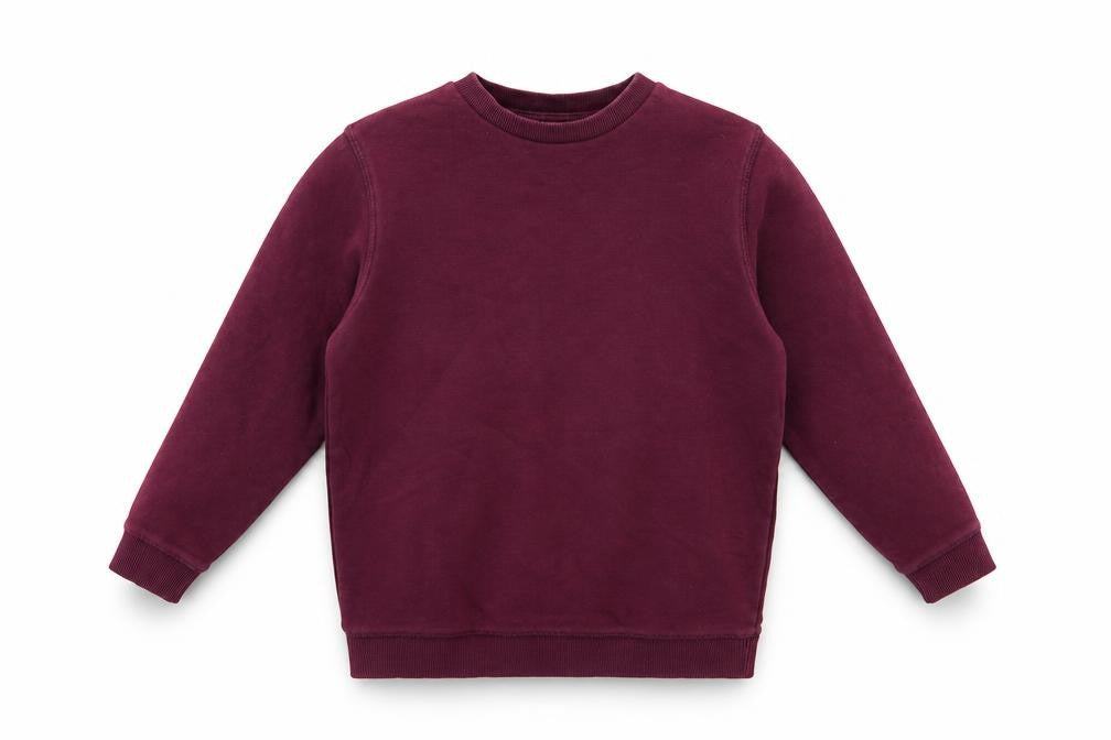 Front view of Tu boys’ purple pullover sweatshirt, size 5, years