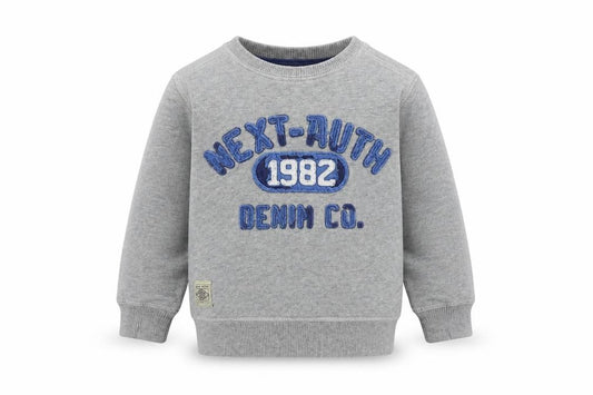 Front view of Next Baby Grey Basic Casual, size 12-18, Months