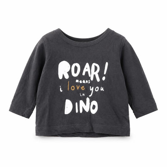 Front view of Preworn Baby Grey Basic T-Shirt, size 0-3, Months - Dinosaur