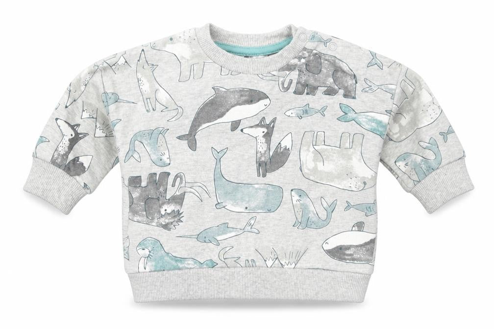 Front view of Nutmeg boys’ multicoloured animal print jumper, size 0-3, months