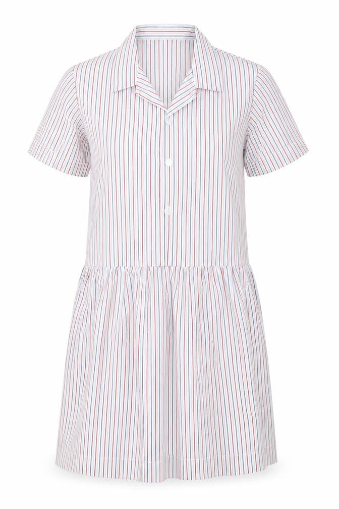 Front view of STEVENSONS women’s multicoloured striped shirt dress, size UK 4