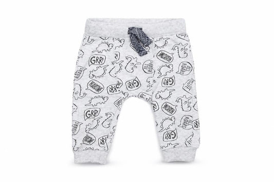 Front view of F&F Baby Grey Jogger Trousers, size 3-6, Months - DInosaur