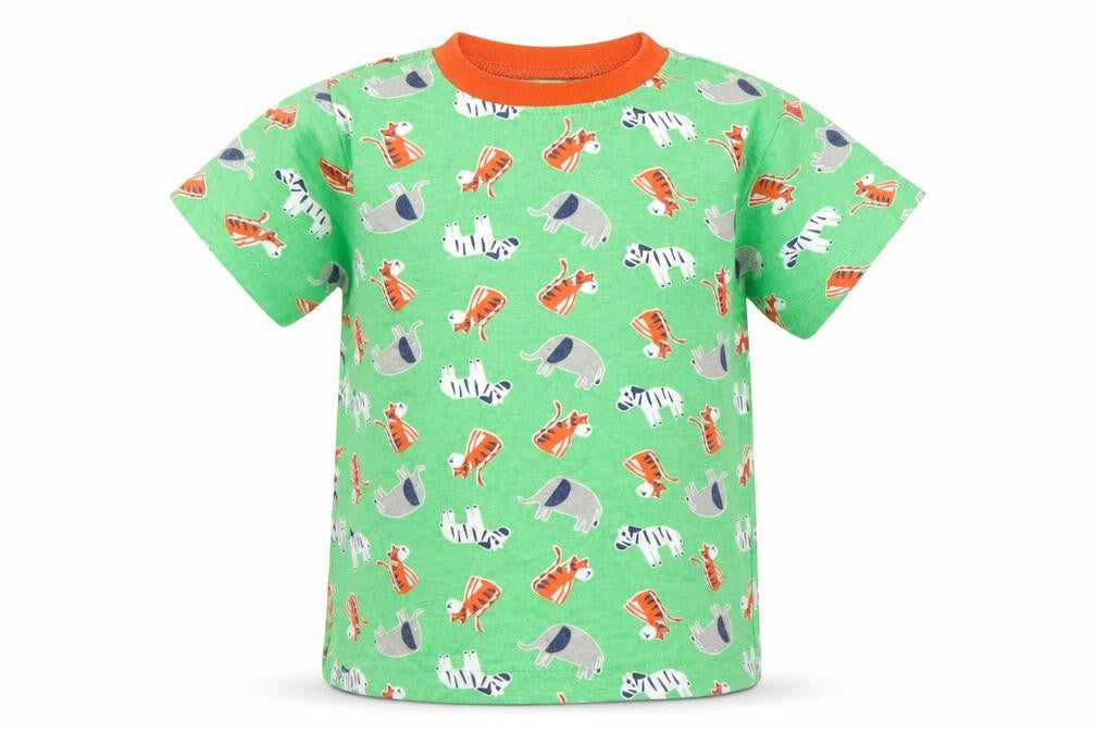 Front view of Kids boys’ green basic t-shirt, size 2, years