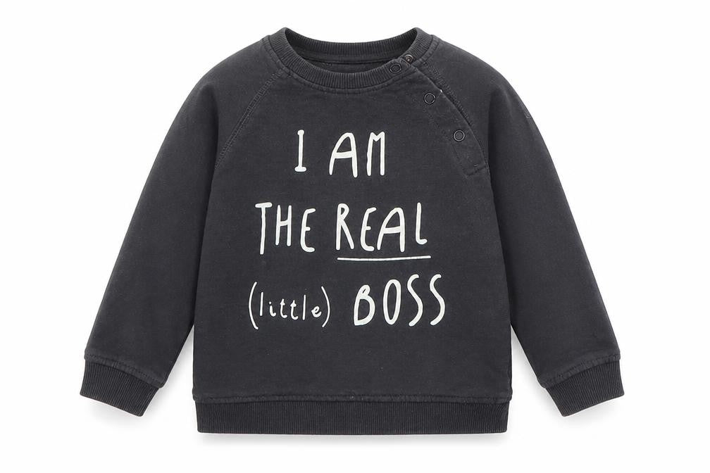 Front view of La Redoute boys’ grey pullover sweatshirt, size 2, years