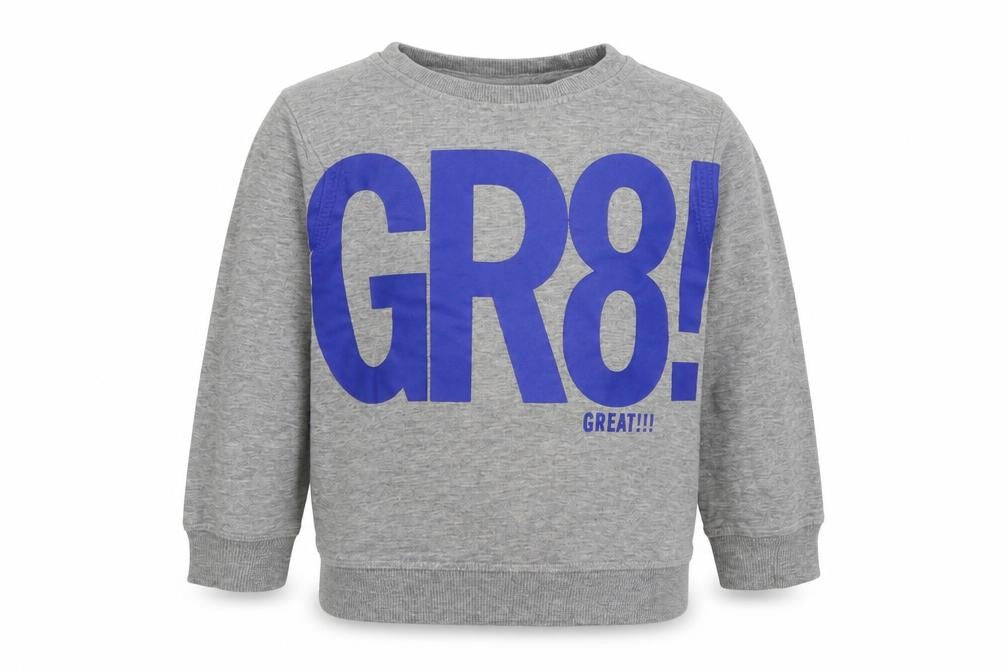 Front view of Zara boys’ grey jumper, size 4, years