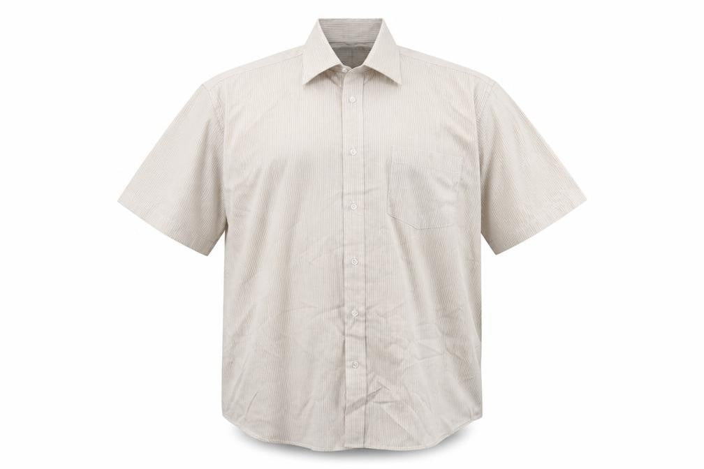 Front view of Greenwoods men’s beige striped button-up, size 16