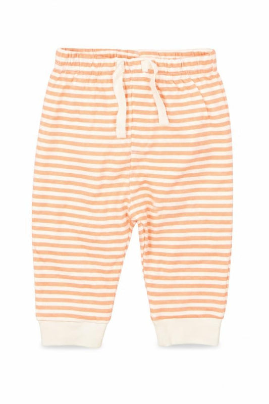 Front view of Mini Cuddles boys’ orange striped capri trousers, size 3-6, months