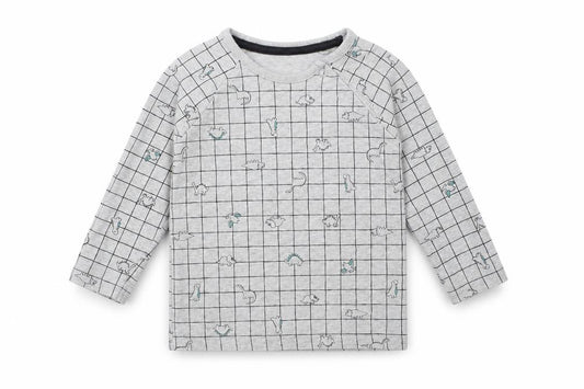 Front view of George boys’ grey check basic t-shirt, size 12-18, months - dinosaur