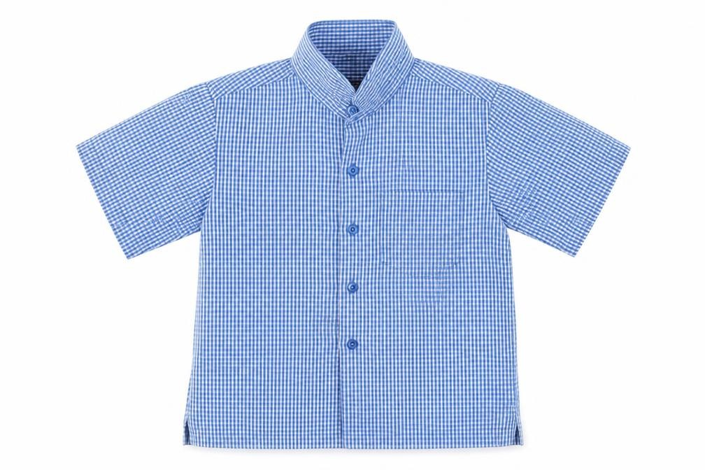 Front view of Next boys’ blue check basic button-up, size 4, years