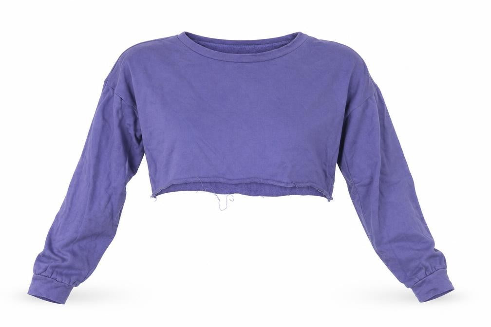 Front view of PRETTYLITTLETHING women’s purple cropped blouse, size S
