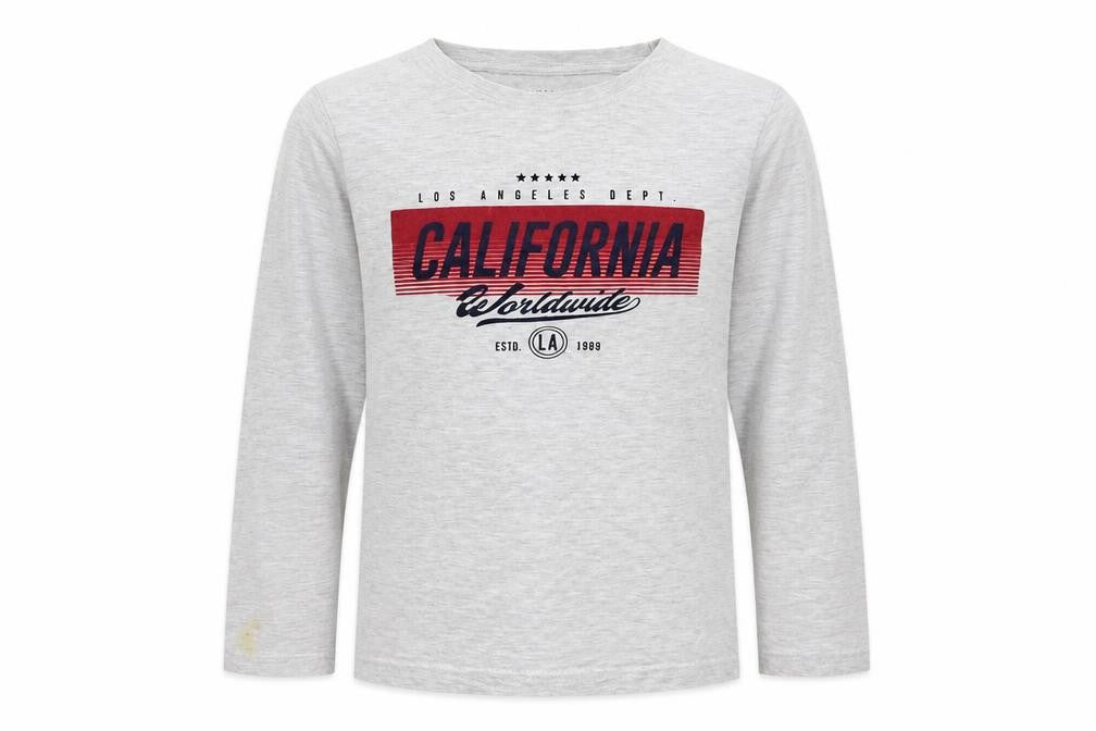 Front view of Primark boys’ grey basic t-shirt, size 8-9, years