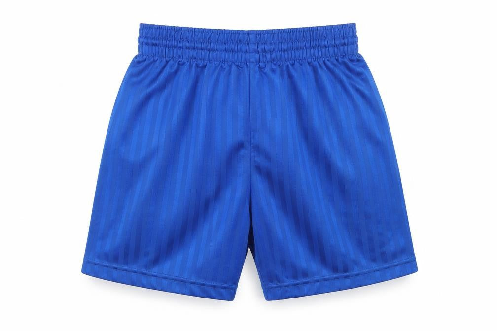 Front view of PRO STAR boys’ blue striped sweat shorts, size XS