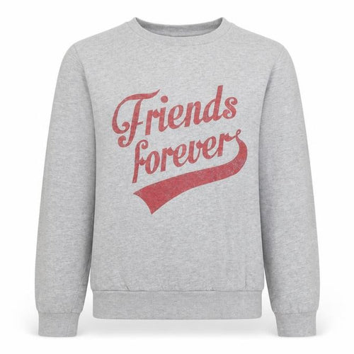 Pep & Co Girls Grey   Pullover Jumper Size 9-10 Years  - Friends Forever
