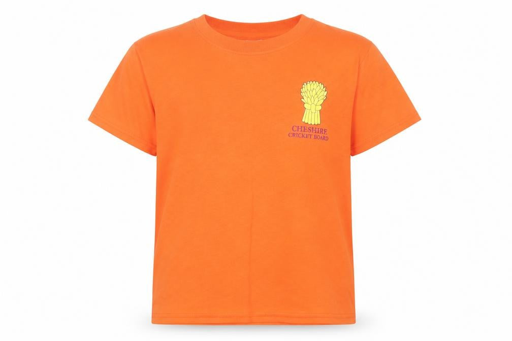 Gilden Boys Orange   Basic T-Shirt Size XS