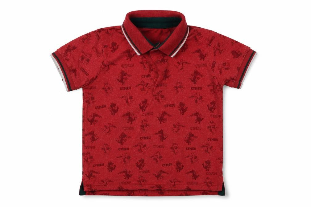 Front view of George boys’ red basic polo, size 2, years - welsh
