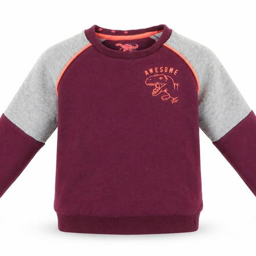 Florence and Fred Boys Purple  Cotton Pullover Sweatshirt Size 3-4 Years   - Awesome Dinasour
