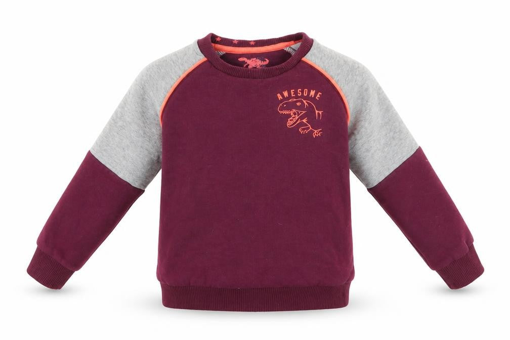 Florence and Fred Boys Purple  Cotton Pullover Sweatshirt Size 3-4 Years   - Awesome Dinasour