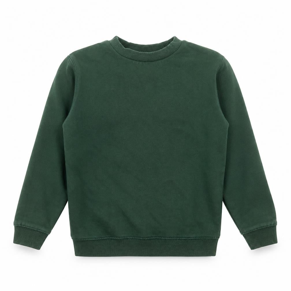 Front view of Tu boys’ green cotton pullover sweatshirt, size 4, years - school