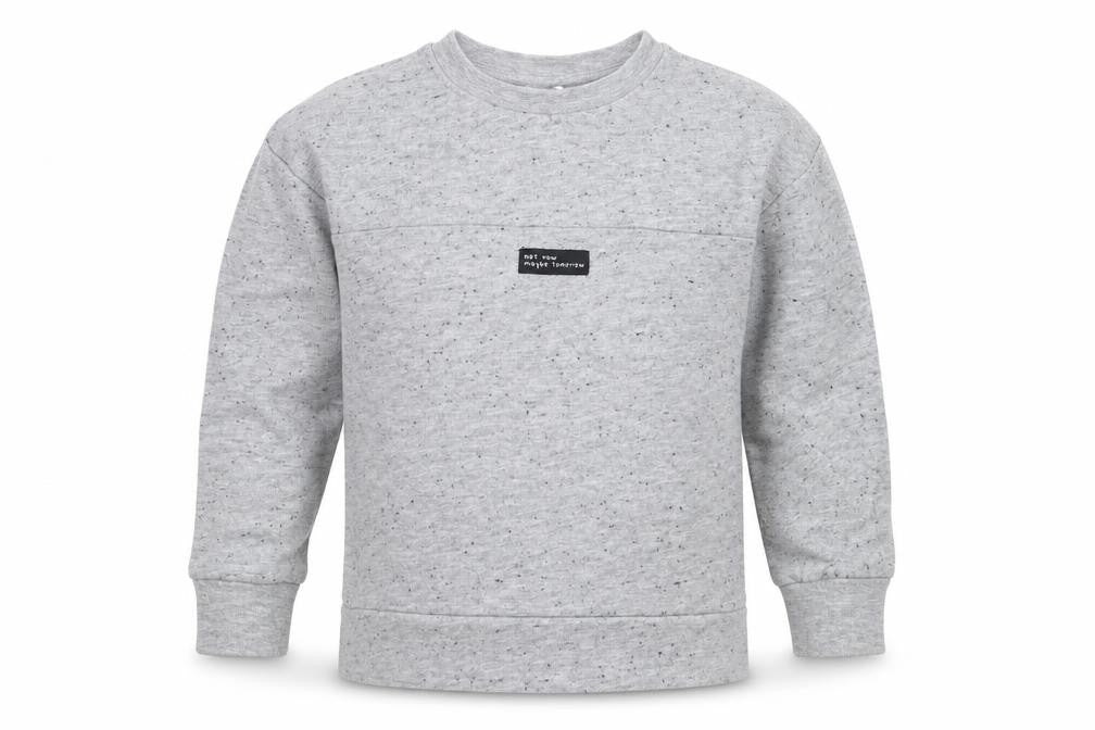 Front view of George boys’ grey polyester pullover sweatshirt, size 3-4, years
