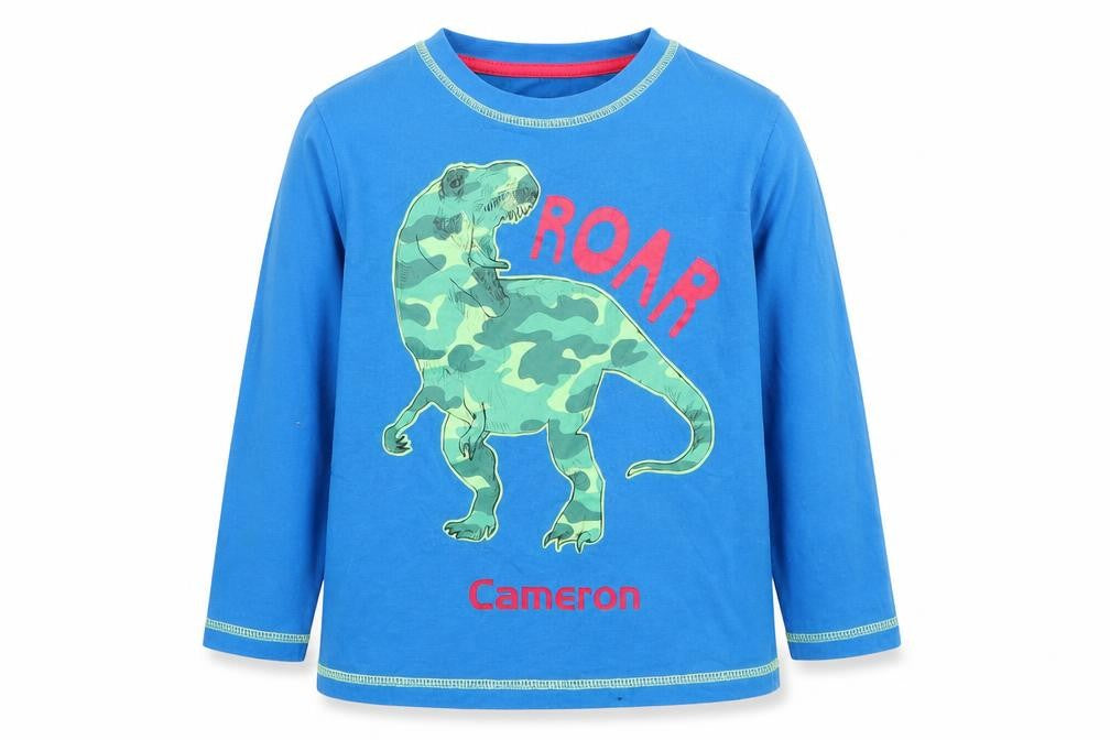 Preworn Boys Blue  Cotton Basic T-Shirt Size 6 Years Round Neck  - Dinosaur