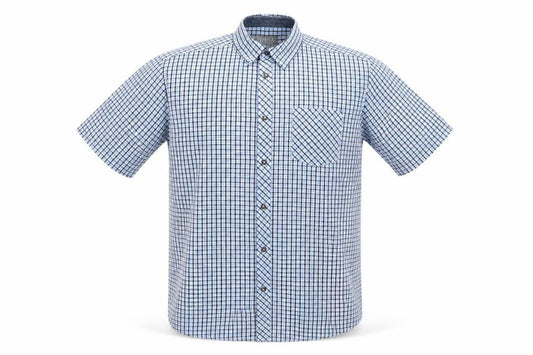 Front view of Originals men’s blue check cotton button-up, size L, collared button