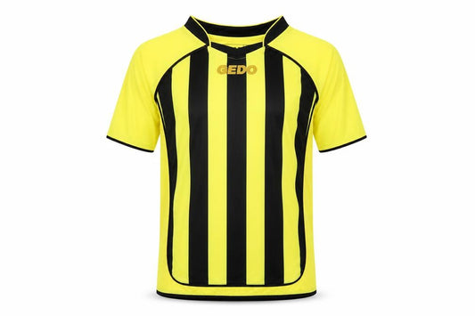 Front view of Gedo men’s yellow striped polyester basic t-shirt, size XS, v-neck