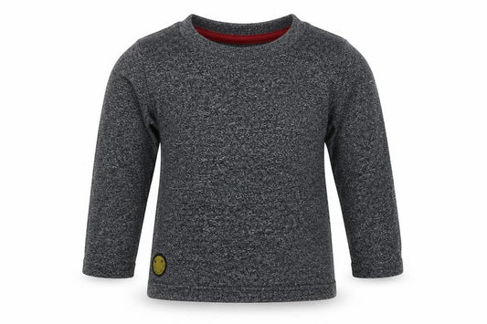 Front view of Primark boys’ grey cotton basic casual, size 9-12, months crew neck pullover