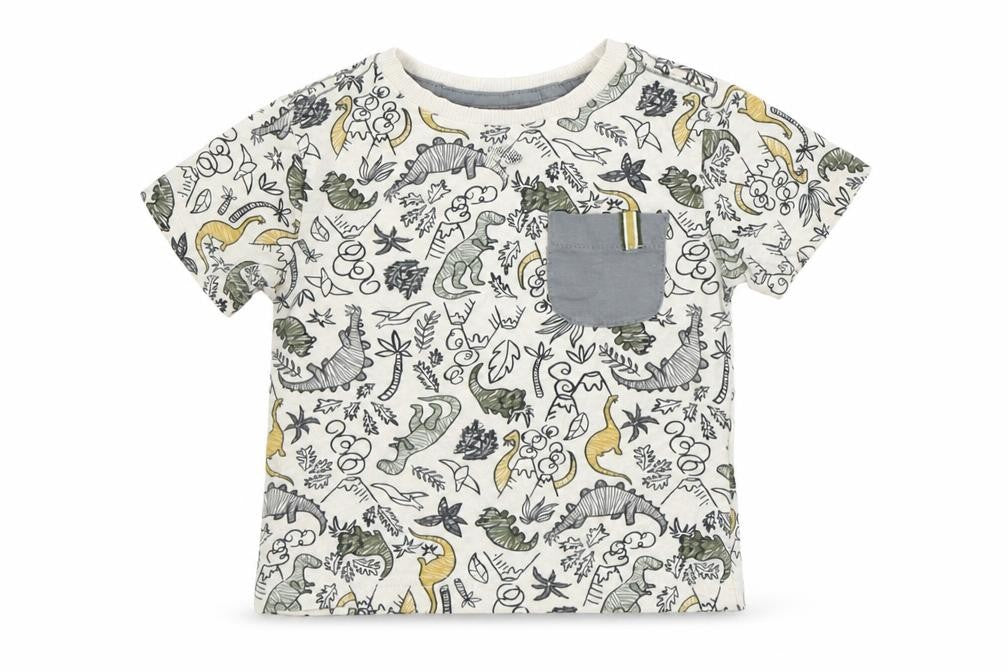 James Archer Boys Multicoloured  Cotton Basic T-Shirt Size 9-12 Months Round Neck  - Dinosaur Print