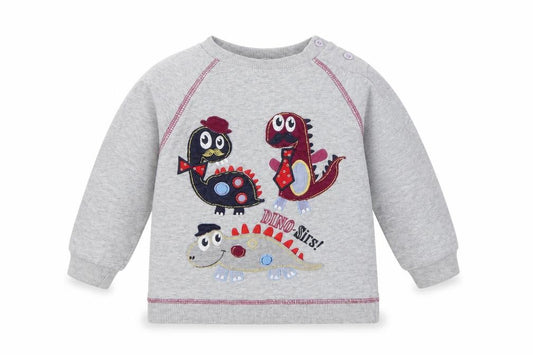 Front view of M&Co Baby Grey Cotton Pullover Blouse, size 12-18, Months Crew Neck - Dinosaurs