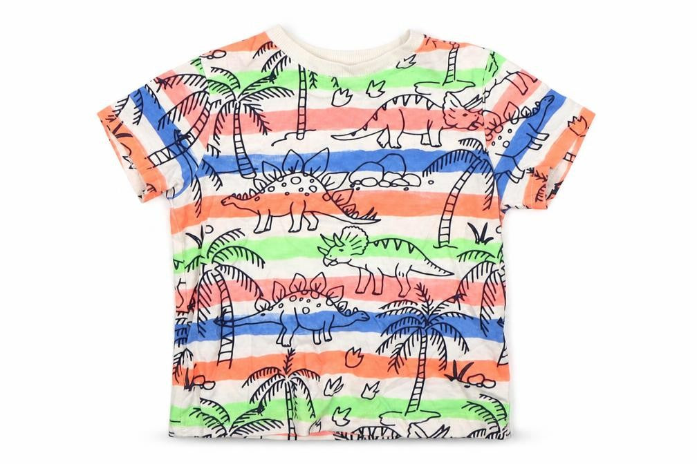 F&F Boys Multicoloured Striped Cotton Basic T-Shirt Size 12-18 Months Round Neck  - Dinosaurs