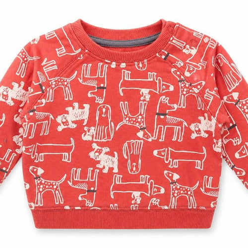 Nutmeg Boys Red Spotted Cotton Pullover Jumper Size 3-6 Months  Snap - Dog Print