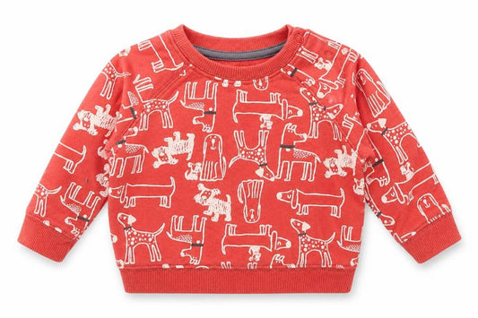 Front view of Nutmeg boys’ red spotted cotton jumper, size 3-6, months snap - dog print