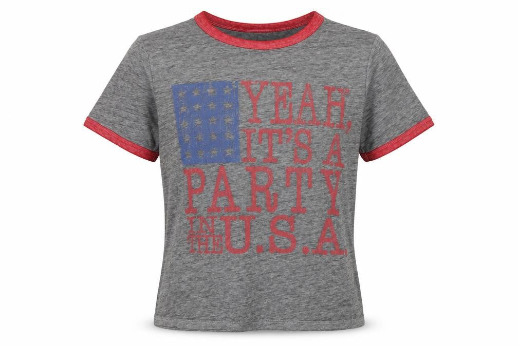 Lyric Culture Womens Grey  Cotton Basic T-Shirt Size L Round Neck - Party in the USA Miley Cyrus