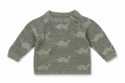 Front view of George boys’ green 100% cotton jumper, size 3-6, months button - dinosaurs