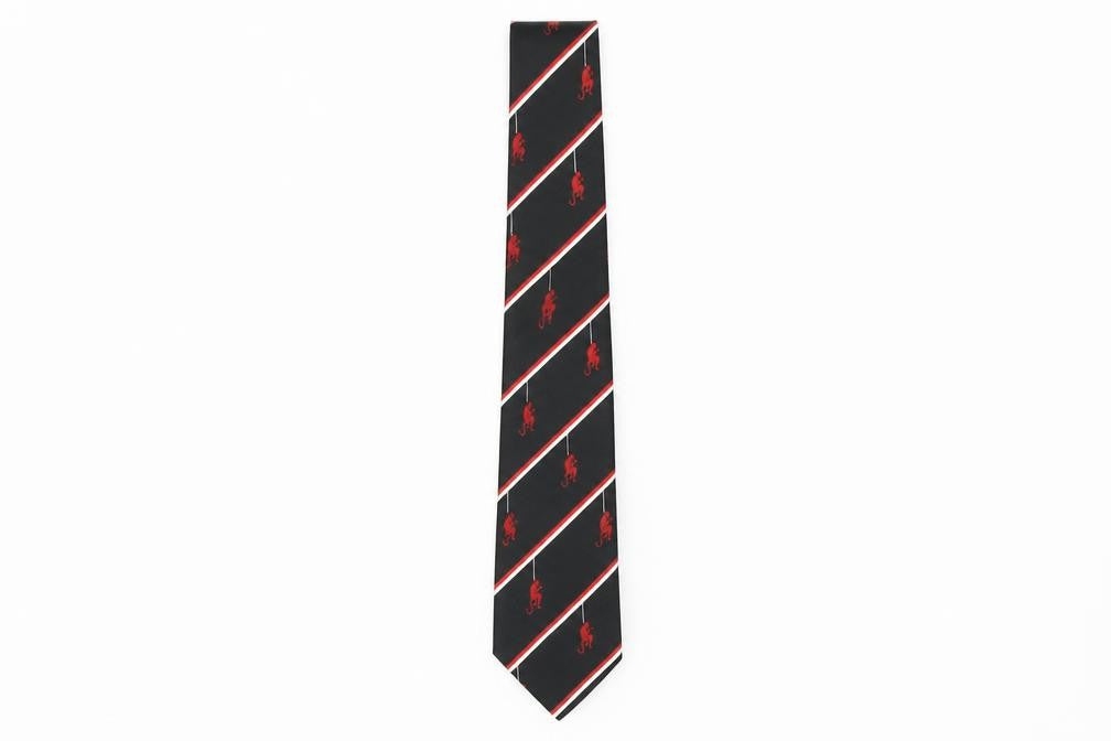 Front view of PreWorn men’s multicoloured striped polyester pointed tie one size