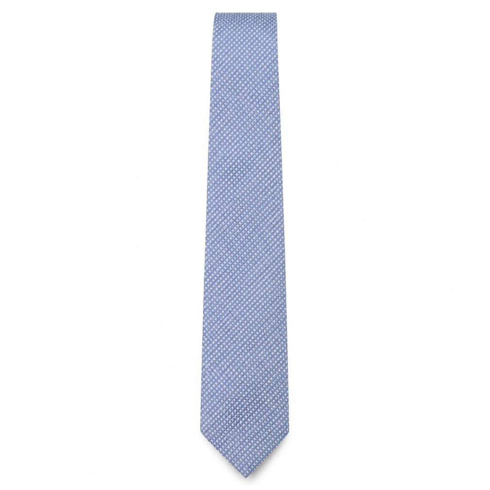 Leonardo Dieci Mens Blue Plaids & Checks Silk Pointed Tie One Size