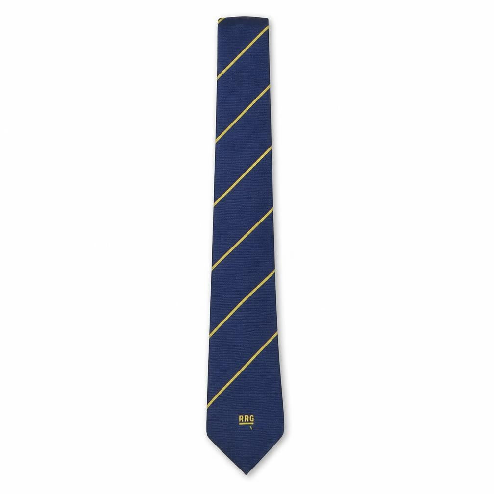 Front view of James Morton men’s multicoloured striped polyester pointed tie one size
