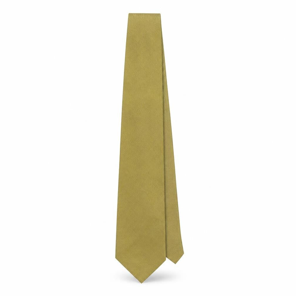 Front view of Van girls’ mens green silk pointed tie one size