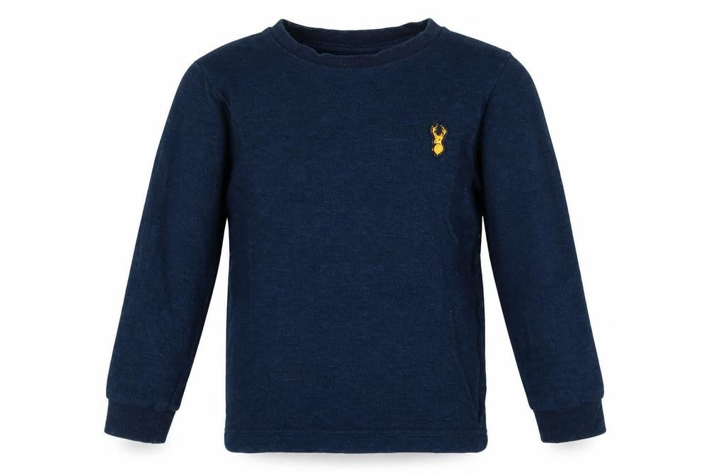 Front view of Next boys’ blue cotton pullover sweatshirt, size 3, years pullover