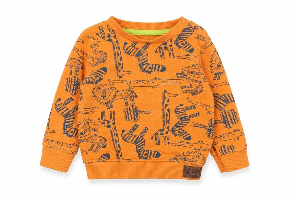 F&F Boys Orange  Cotton Pullover Jumper Size 6-9 Months  Pullover - Lion, Giraffe, Zebra, Crocodile