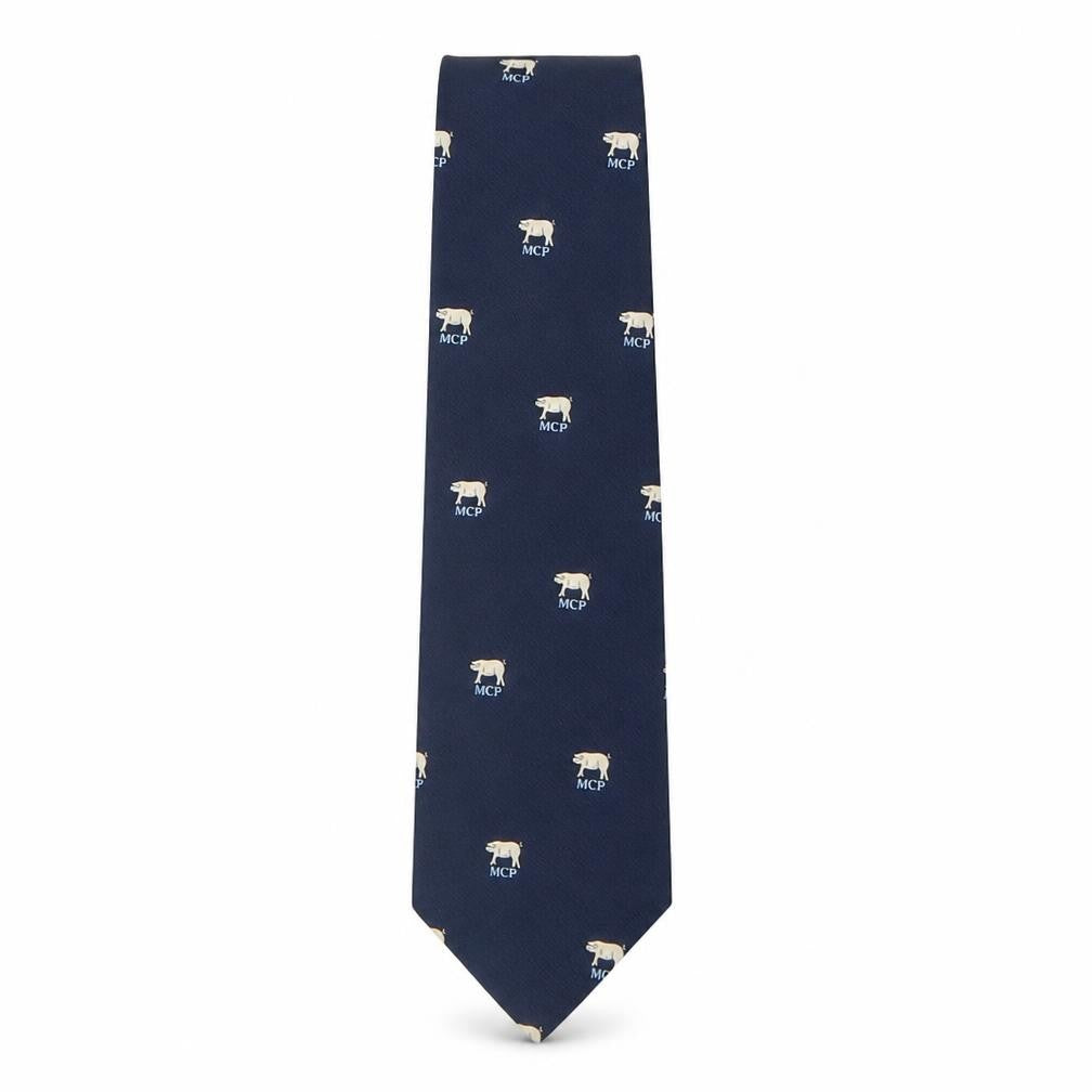 Front view of Ernex men’s blue geometric polyester pointed tie one size - pig print