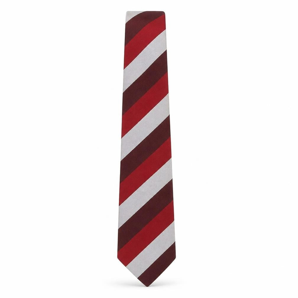 Prova Mens Multicoloured Striped Polyester Pointed Tie One Size