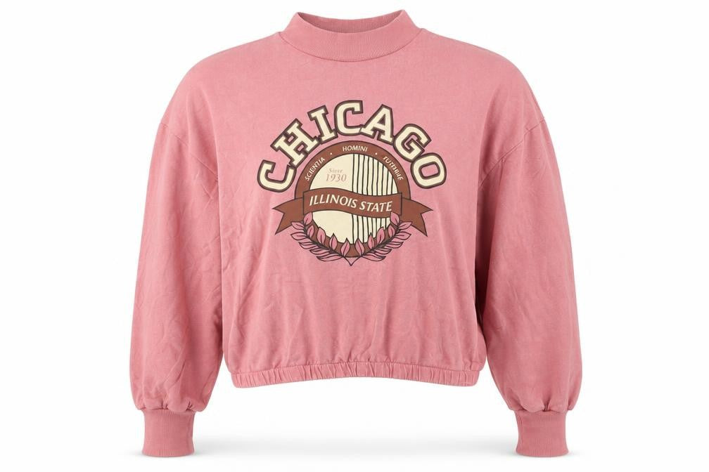 Front view of JDY women’s pink cotton pullover sweatshirt, size S