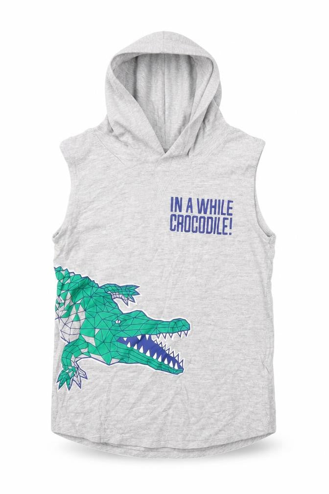 Kids Boys Grey  Cotton Pullover Hoodie Size 6 Years   - Dinosaurs