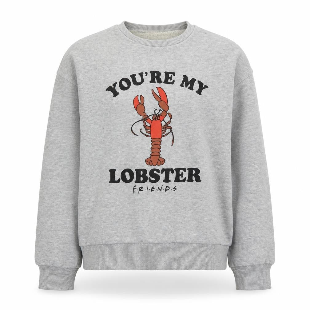 Front view of M&Co girls’ grey cotton pullover sweatshirt, size 14, years pullover