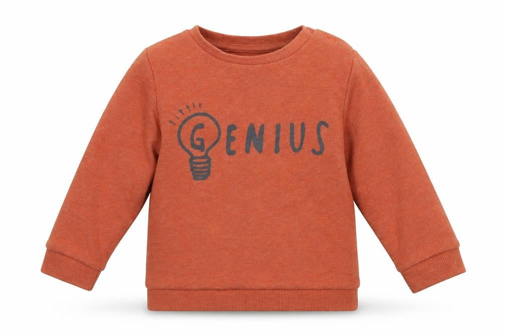 F&F Baby Brown  Cotton Pullover Jumper Size 12-18 Months  Pullover - Genius