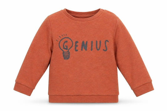 Front view of F&F Baby Brown Cotton jumper, size 12-18, Months Pullover - Genius