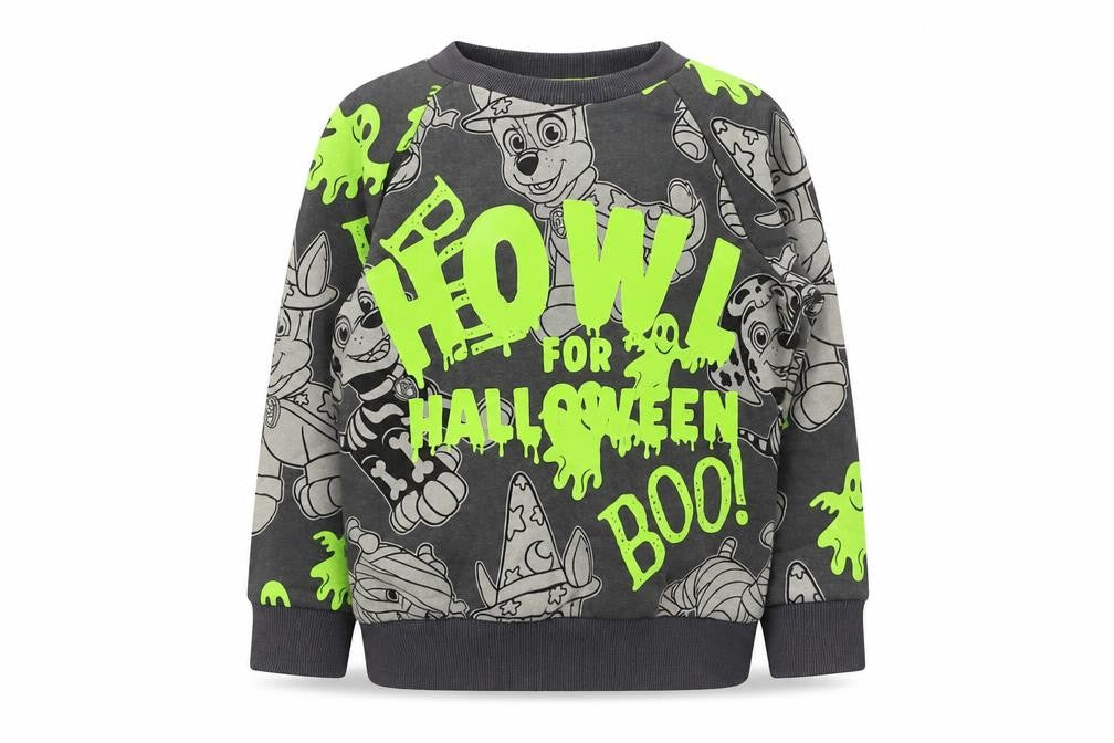 Front view of Preworn boys’ multicoloured polyester pullover sweatshirt, size 2-3, years - paw patrol